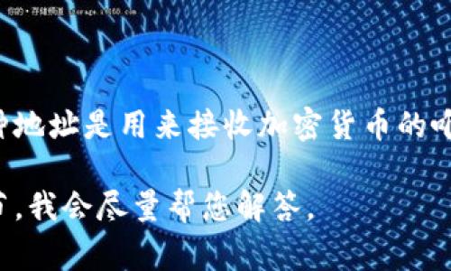 TPWallet的收款地址通常称为“钱包地址”或“公钥地址”。这种地址是用来接收加密货币的唯一标识符，用户可以通过它向其他用户或服务发送加密货币。

若想了解更详细的信息或想讨论相关问题，请告诉我更多细节，我会尽量帮您解答。