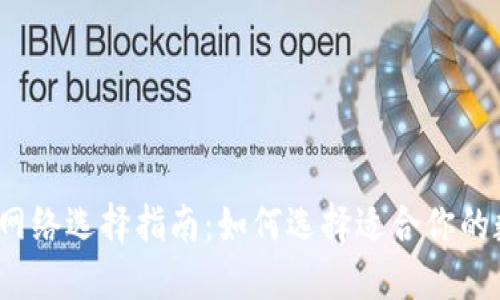 数字钱包网络选择指南：如何选择适合你的数字钱包？
