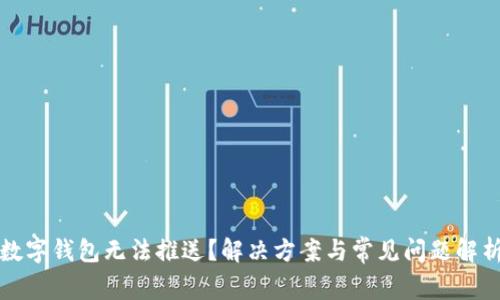 数字钱包无法推送？解决方案与常见问题解析