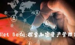 TPWallet Beta：探索加密资产