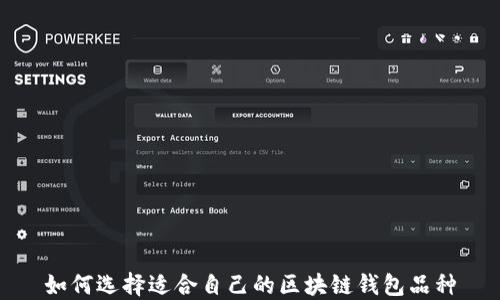 
如何选择适合自己的区块链钱包品种
