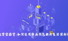 数字实验室：如何使用华